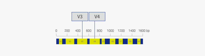 Miseq